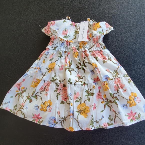 Janie and Jack Flower Dress Cotton Pink Floral Rose Flared Dress Girls 12/18 M - Picture 2 of 10